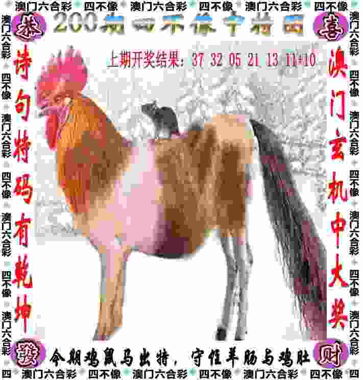 港彩二四六天天彩资料传奇版下载 -新奥2025最新版本免费2025新版下载v3   .63   .221   -2278安卓网